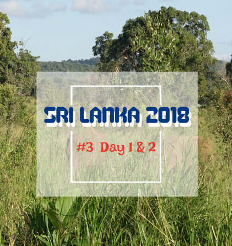 斯里蘭卡|2018年最期待之旅 (三) | Day 1&2 | 尼甘布 / 明內里耶國家公園