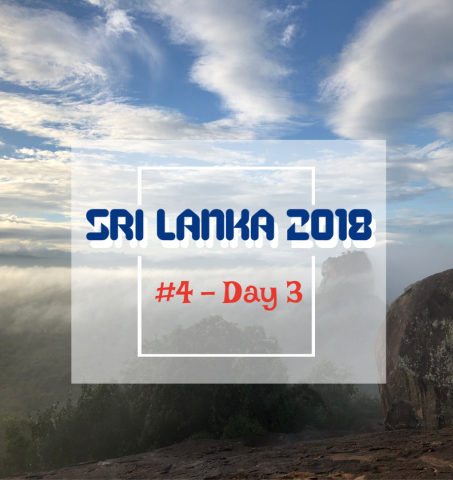 斯里蘭卡|2018年最期待之旅 (四)|Day 3|從Pidurangala Rock眺望獅子岩 &丹布拉佛寺